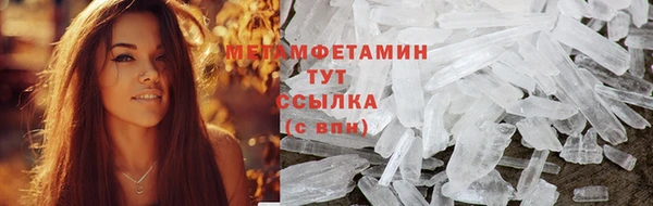 крисы Баксан