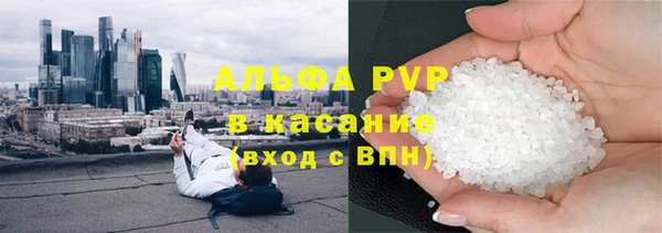 крисы Баксан