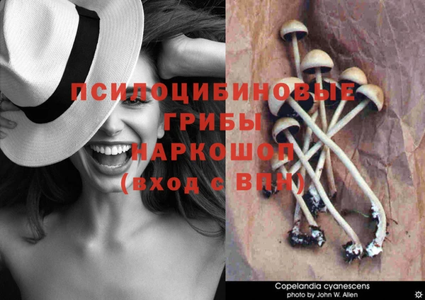 марки nbome Балабаново