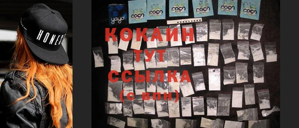 крисы Баксан