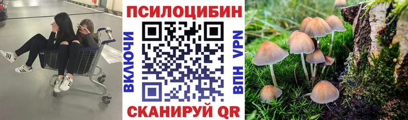 Псилоцибиновые грибы ЛСД  Купить  Янаул 